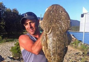 Monster Mallacoota flathead!